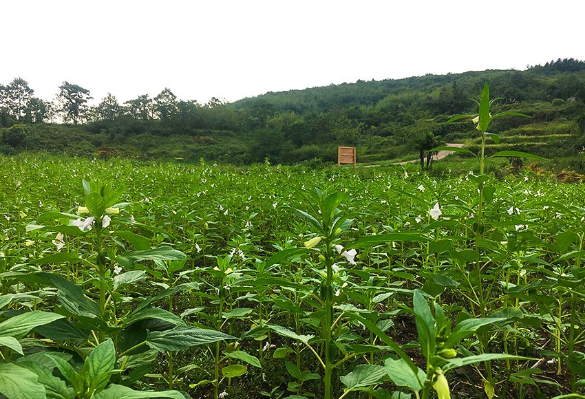 基地風(fēng)采