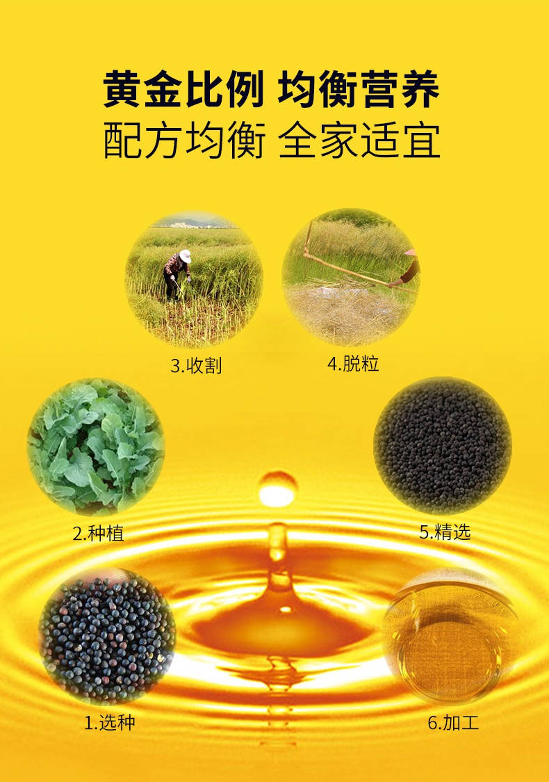 菜籽油5L詳情頁_08.jpg