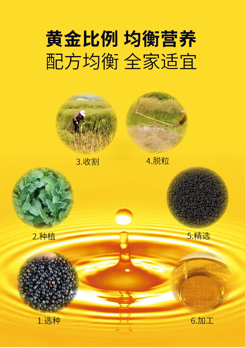 菜籽油5L詳情頁_08.jpg